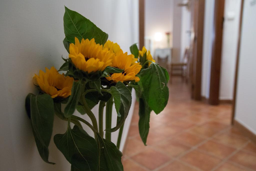 Casa Rural Migolla Osuna Zewnętrze zdjęcie
